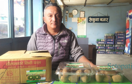 जिरीमा आफूले उत्पादन गरेको किवी काठमाडौंमा बेच्न ठिक्क पार्दै पासाङ तेन्जी शेर्पा। तस्बिरः सविना कार्की/सेतोपाटी